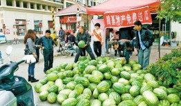 兰州吃瓜网站免费入口,免费入口带你畅游美食世界